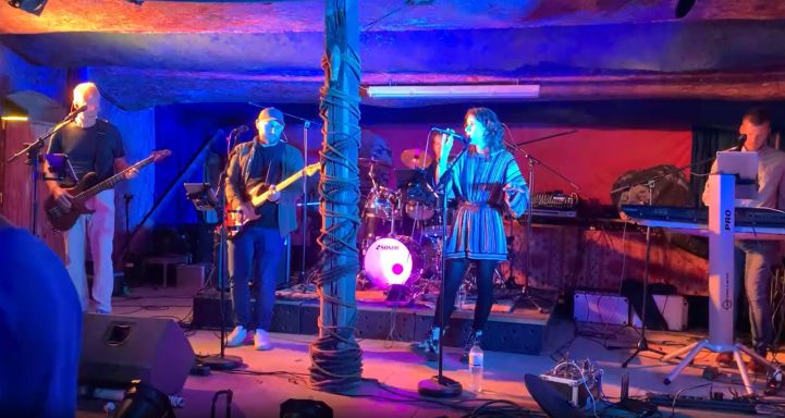 Gartenparty in Langwedel mit Baltic-live